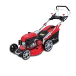 Leo grass clearance cutting machine